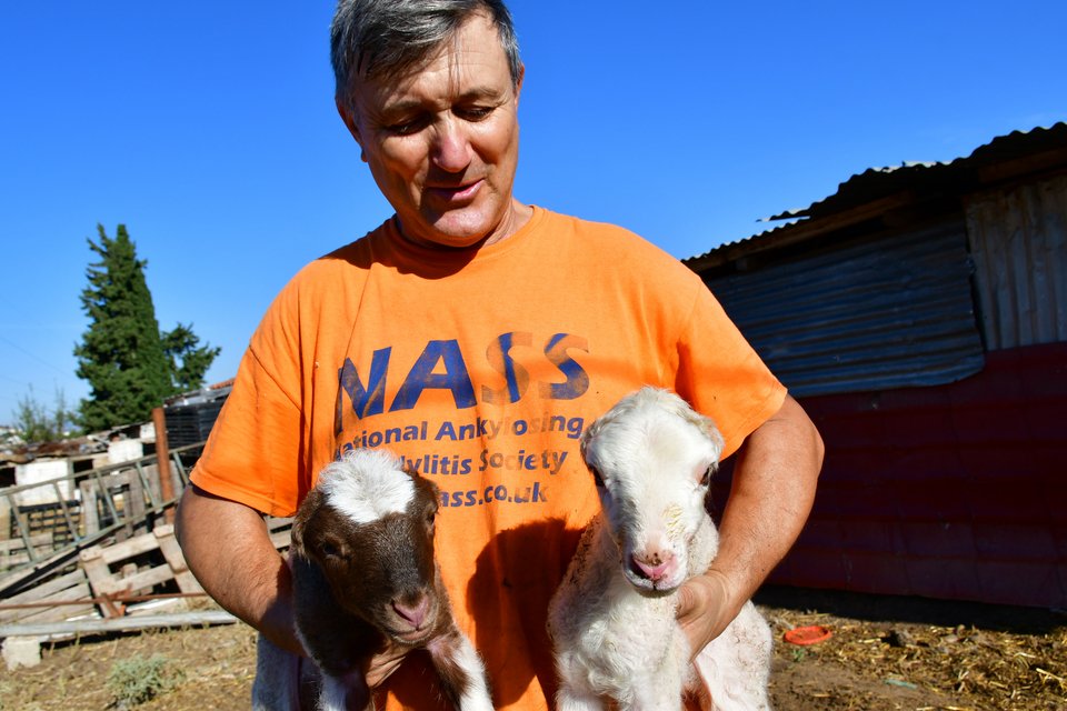 Ναύπλιο: Αρνάκια γεννήθηκαν χωρίς αυτιά [εικόνες & βίντεο] | iefimerida.gr 0