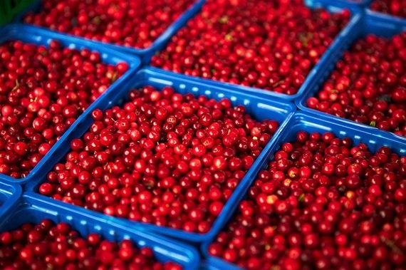 Τι πρέπει να φάτε μετά από πίτσα και σουβλάκια για να μην παχύνετε [βίντεο] | iefimerida.gr 1