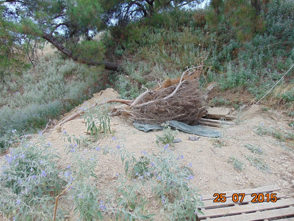 Εσκαβαν σε αρχαιολογικό χώρο επειδή είχαν δει σε όνειρο λίρες και κοσμήματα [εικόνες] | iefimerida.gr 0