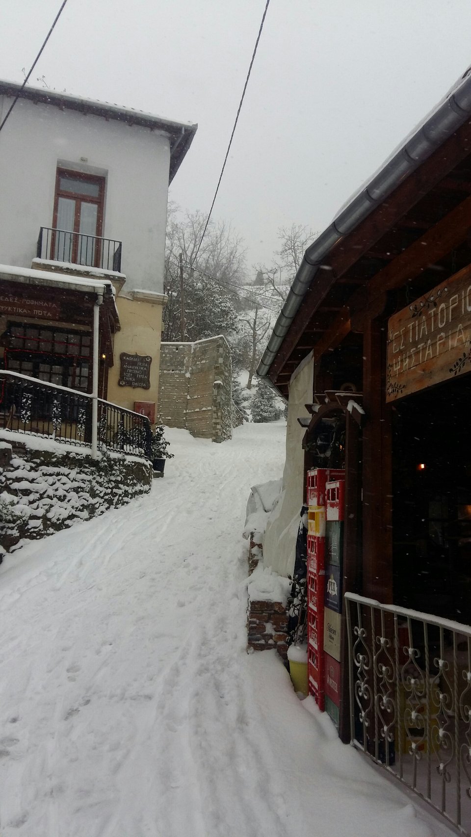 Παγετός και χιόνι, στα λευκά μέχρι και τα νησιά -Πολικές θερμοκρασίες [εικόνες & βίντεο] | iefimerida.gr 15