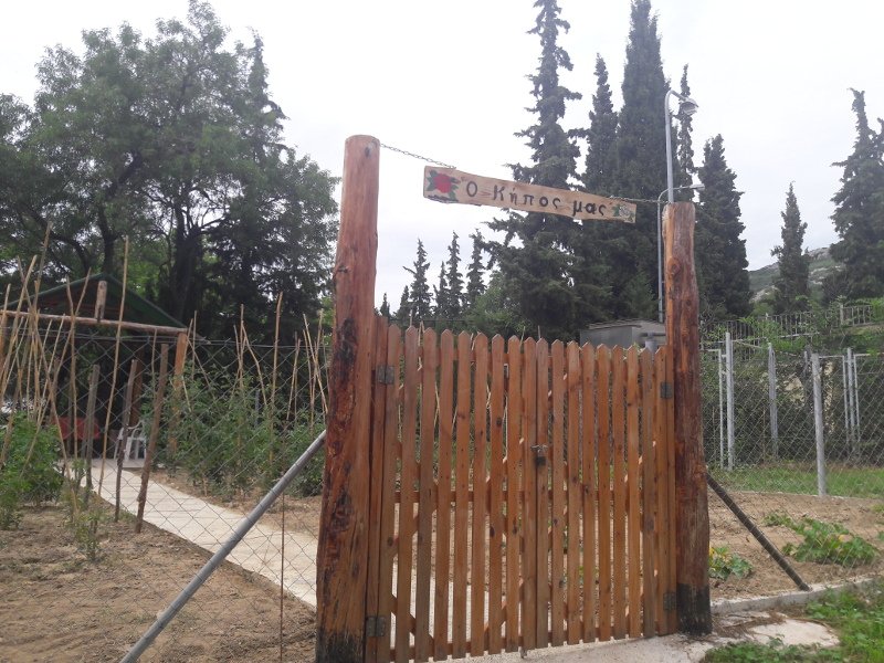 Νοσηλευόμενοι στην Ψυχιατρική του «Παπανικολάου» έφτιαξαν έναν ζηλευτό λαχανόκηπο [εικόνα] | iefimerida.gr 0