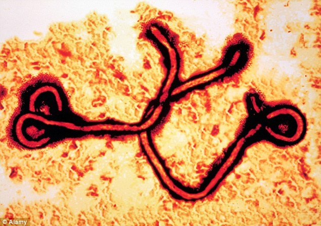 Αυτή είναι η πιο δημοφιλής λέξη στο ίντερνετ για το 2014 [εικόνες] | iefimerida.gr 1