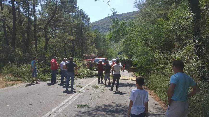 Ξάνθη: Δέντρο έπεσε πάνω σε αυτοκίνητο ενώ κινούνταν [εικόνες] | iefimerida.gr 1