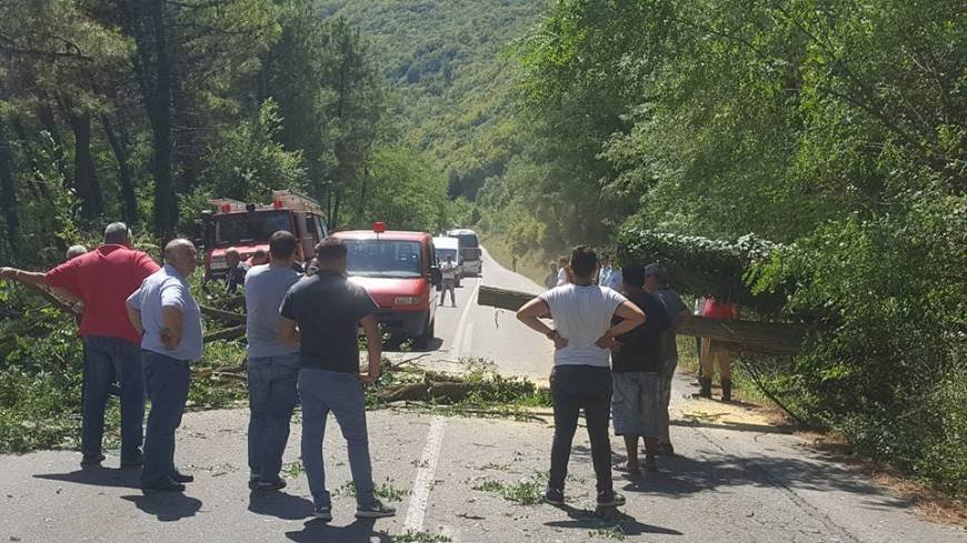 Ξάνθη: Δέντρο έπεσε πάνω σε αυτοκίνητο ενώ κινούνταν [εικόνες] | iefimerida.gr 2