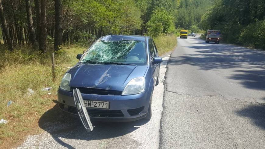 Ξάνθη: Δέντρο έπεσε πάνω σε αυτοκίνητο ενώ κινούνταν [εικόνες] | iefimerida.gr 0