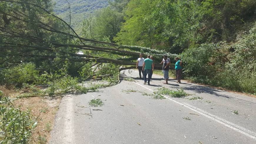 Ξάνθη: Δέντρο έπεσε πάνω σε αυτοκίνητο ενώ κινούνταν [εικόνες] | iefimerida.gr 3
