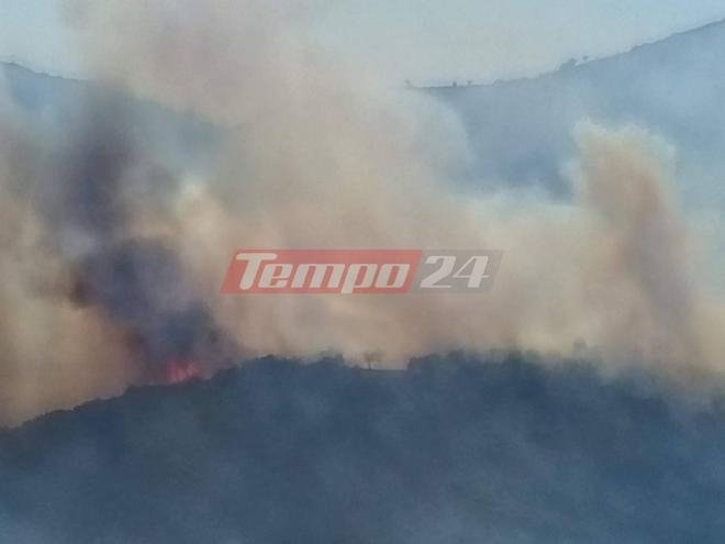 Ολονύχτια μάχη με τις φλόγες στην Αχαΐα [εικόνες & βίντεο] | iefimerida.gr 1