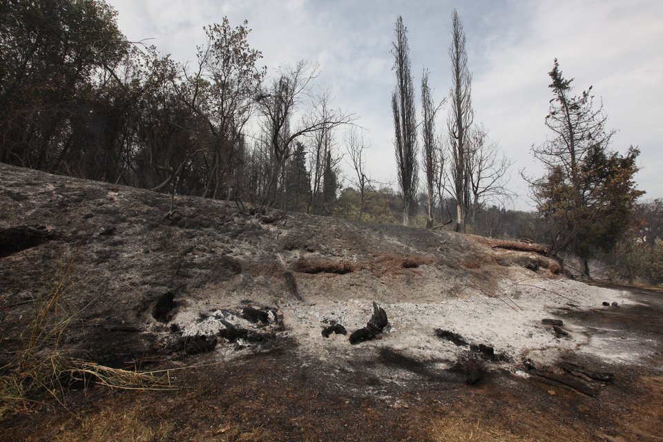 Σε ύφεση οι φωτιές σε Κορινθία και Λάρισα - Σε εξέλιξη το μέτωπο στη Μαλεσίνα [βίντεο & εικόνες] | iefimerida.gr 3