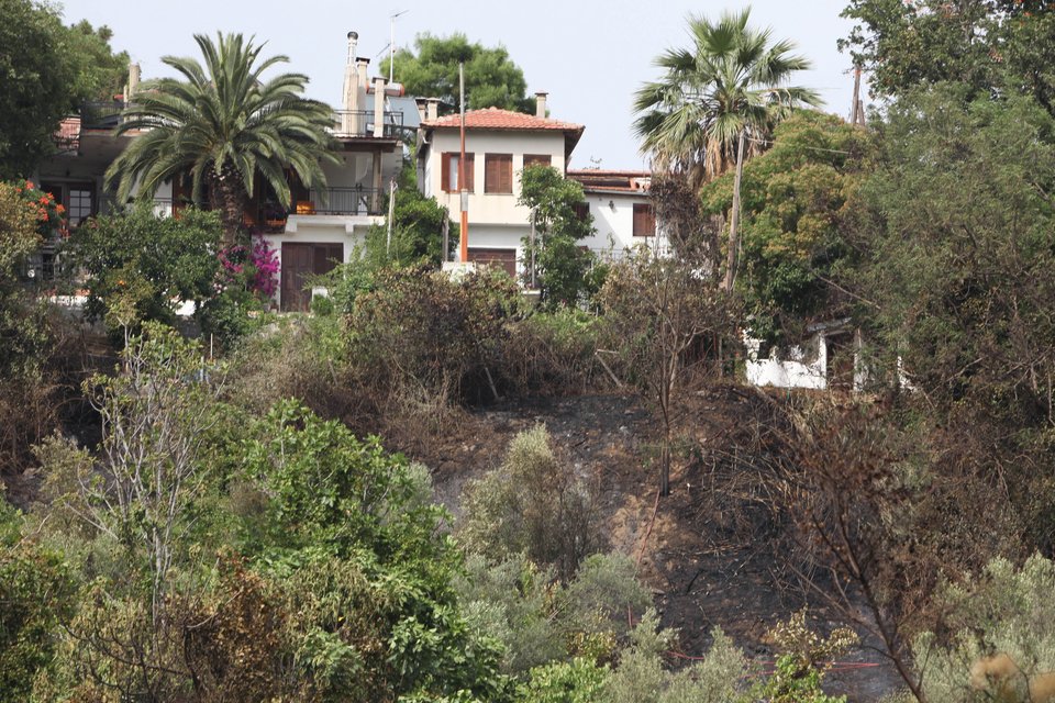 Σε ύφεση οι φωτιές σε Κορινθία και Λάρισα - Σε εξέλιξη το μέτωπο στη Μαλεσίνα [βίντεο & εικόνες] | iefimerida.gr 6