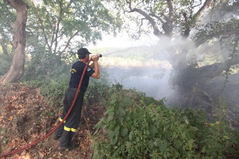 Σε ύφεση οι φωτιές σε Κορινθία και Λάρισα - Σε εξέλιξη το μέτωπο στη Μαλεσίνα [βίντεο & εικόνες] | iefimerida.gr 7
