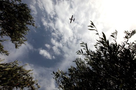 Σε ύφεση οι φωτιές σε Κορινθία και Λάρισα - Σε εξέλιξη το μέτωπο στη Μαλεσίνα [βίντεο & εικόνες] | iefimerida.gr 5