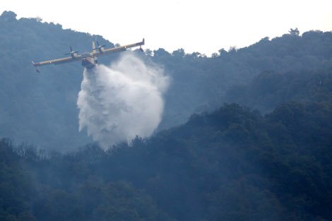 Σε ύφεση οι φωτιές σε Κορινθία και Λάρισα - Σε εξέλιξη το μέτωπο στη Μαλεσίνα [βίντεο & εικόνες] | iefimerida.gr 4