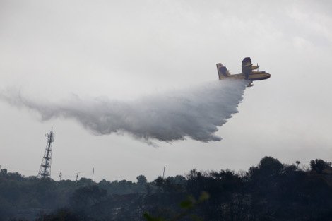 Σε ύφεση οι φωτιές σε Κορινθία και Λάρισα - Σε εξέλιξη το μέτωπο στη Μαλεσίνα [βίντεο & εικόνες] | iefimerida.gr 8