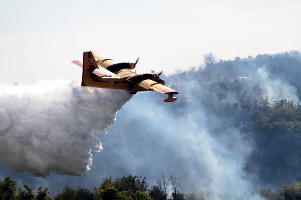 Μάχη με τις φλόγες δίνει η πυροσβεστική σε Ηλεία και Αγιον Ορος [εικόνες] | iefimerida.gr 1