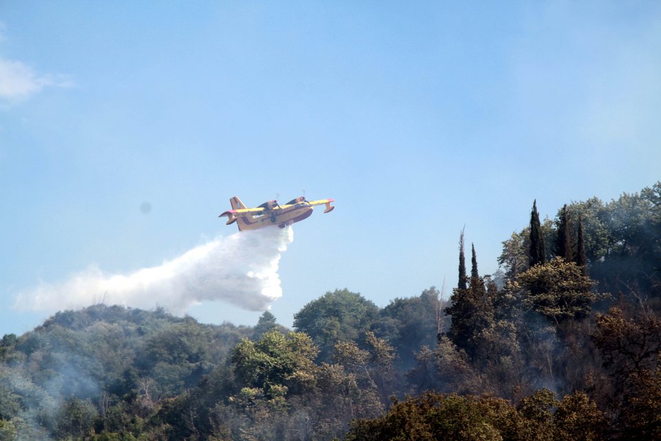 Μάχη με τις φλόγες δίνει η πυροσβεστική σε Ηλεία και Αγιον Ορος [εικόνες] | iefimerida.gr 5