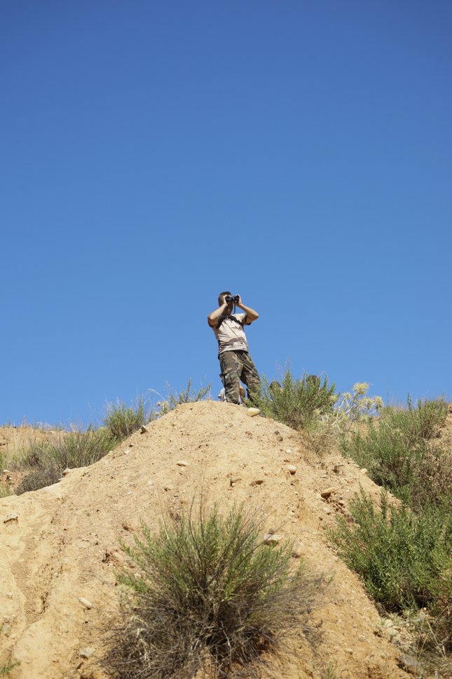 Ο Σήφης ο κροκόδειλος δεν τρώει κοτόπουλο -Νέα επιχείρηση για την παγίδευσή του [εικόνες] | iefimerida.gr 4