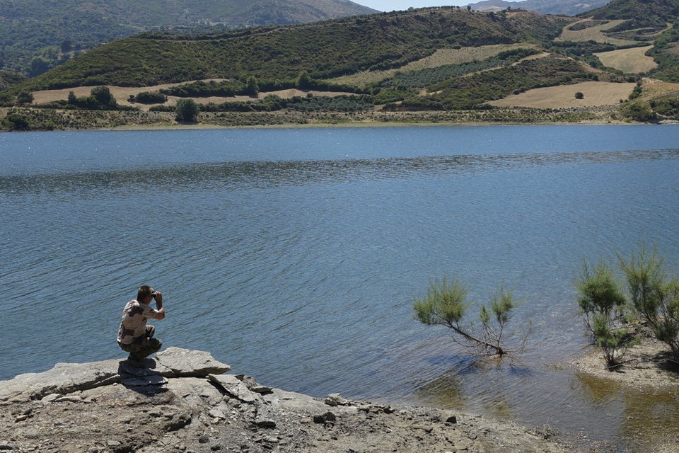 Ο Σήφης ο κροκόδειλος δεν τρώει κοτόπουλο -Νέα επιχείρηση για την παγίδευσή του [εικόνες] | iefimerida.gr 6