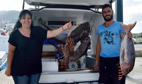 Πελώριοι βλάχοι 25 και 17 κιλών σε παραγάδι στην Αλόννησο -Πόλος έλξης για τους τουρίστες τα τεράστια ψάρια [εικόνες] | iefimerida.gr 6