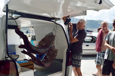 Πελώριοι βλάχοι 25 και 17 κιλών σε παραγάδι στην Αλόννησο -Πόλος έλξης για τους τουρίστες τα τεράστια ψάρια [εικόνες] | iefimerida.gr 1