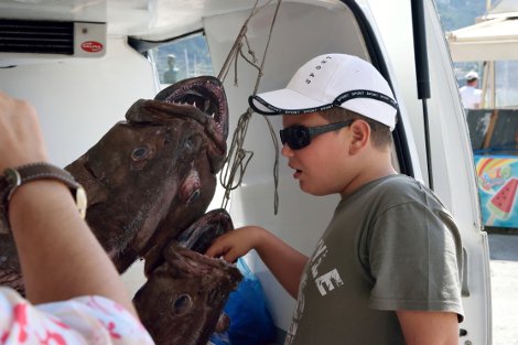 Πελώριοι βλάχοι 25 και 17 κιλών σε παραγάδι στην Αλόννησο -Πόλος έλξης για τους τουρίστες τα τεράστια ψάρια [εικόνες] | iefimerida.gr 3