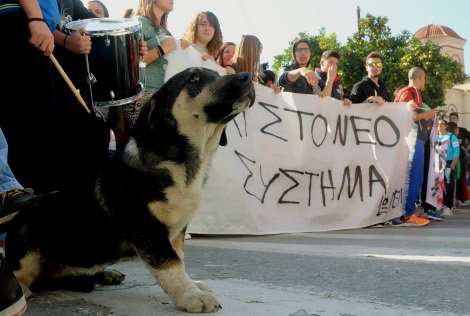 Ενας νέος «Λουκάνικος»: Ο σκύλος-μασκότ των μαθητικών διαδηλώσεων στο Αργος [εικόνες] | iefimerida.gr 4