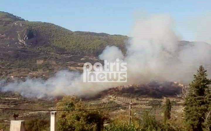 Πύρινος εφιάλτης ξανά στην Ηλεία -Απειλήθηκαν σπίτια [εικόνες] | iefimerida.gr 0