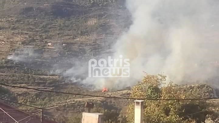Πύρινος εφιάλτης ξανά στην Ηλεία -Απειλήθηκαν σπίτια [εικόνες] | iefimerida.gr 1