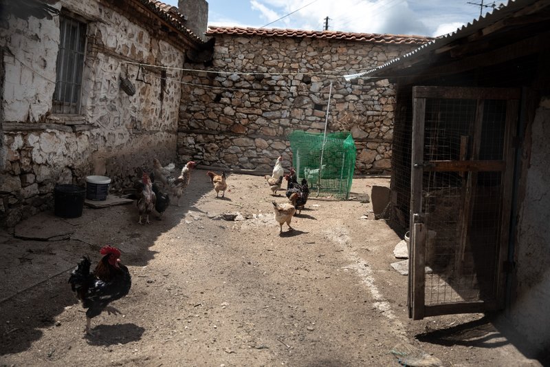 «Στο πόδι» το χωριό Ψαράδες στις Πρέσπες -Στήνουν τέντες και κιόσκια για τη συμφωνία Τσίπρα-Ζάεφ [εικόνες] | iefimerida.gr 11