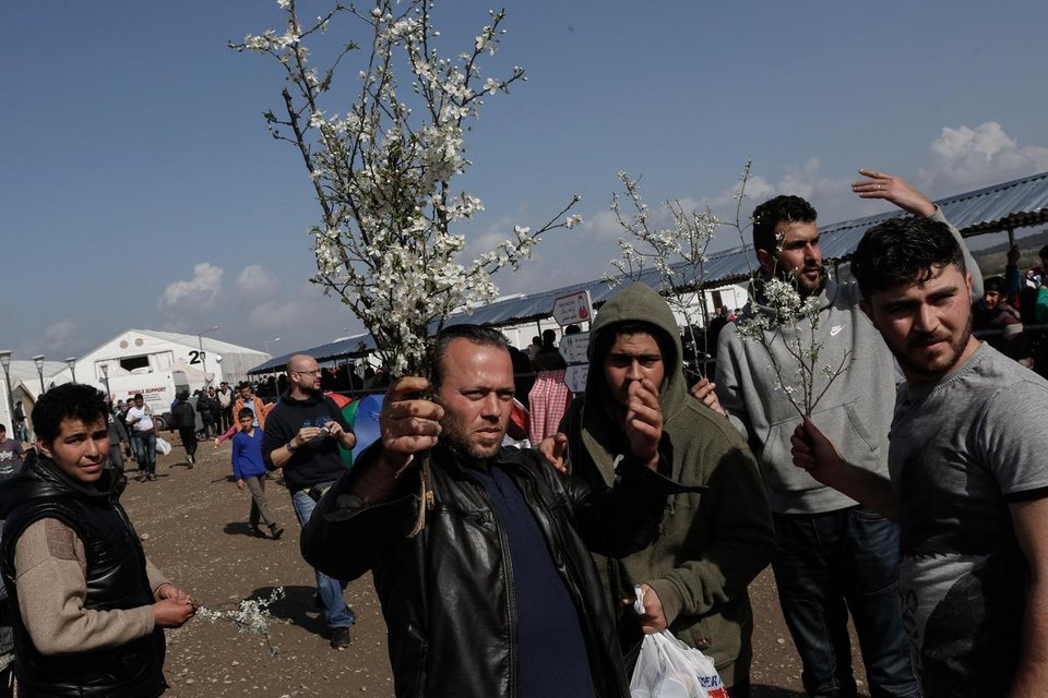Ειδομένη: Πρόσφυγες με λουλούδια στον φράχτη γιορτάζουν την άνοιξη [εικόνες] | iefimerida.gr 3