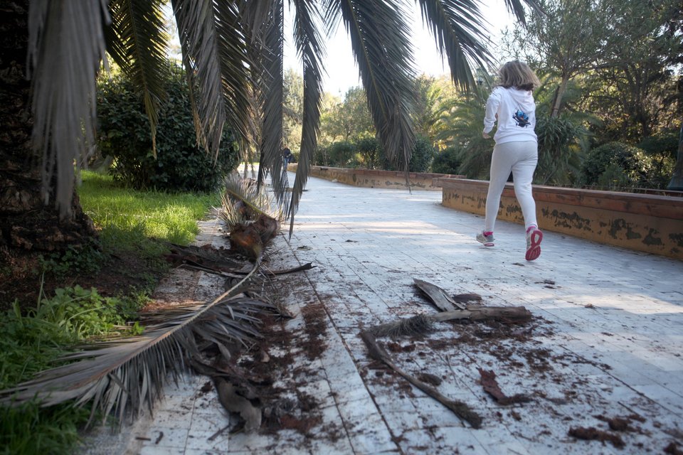 Περπατώντας στους δρόμους της χριστουγεννιάτικης Αθήνας: Λαμπιόνια, συνθήματα, σύριγγες [εικόνες] | iefimerida.gr 3