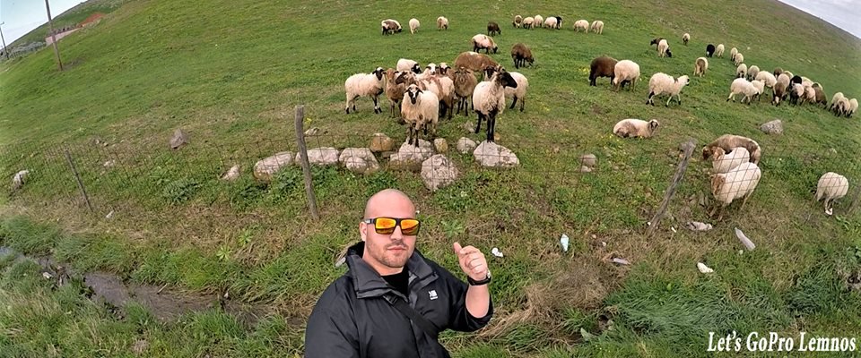 H selfie από τη Λήμνο που ξεπερνά κάθε  φαντασία -«Προβατοselfie» [εικόνες] | iefimerida.gr 0