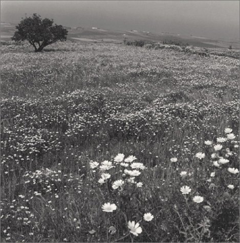 Διάσημος φωτογράφος εκπλήσσει: Αγνοείστε την κρίση, ελάτε στην Ελλάδα [εικόνες]  | iefimerida.gr 1