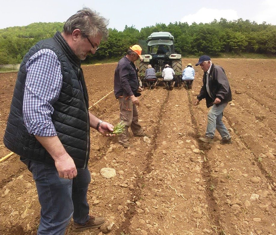 Το θεραπευτικό τσάι Ολύμπου από το Ελατοχώρι Πιερίας -Ιούνιο ξεκινά η συλλογή του [εικόνες]  | iefimerida.gr 0