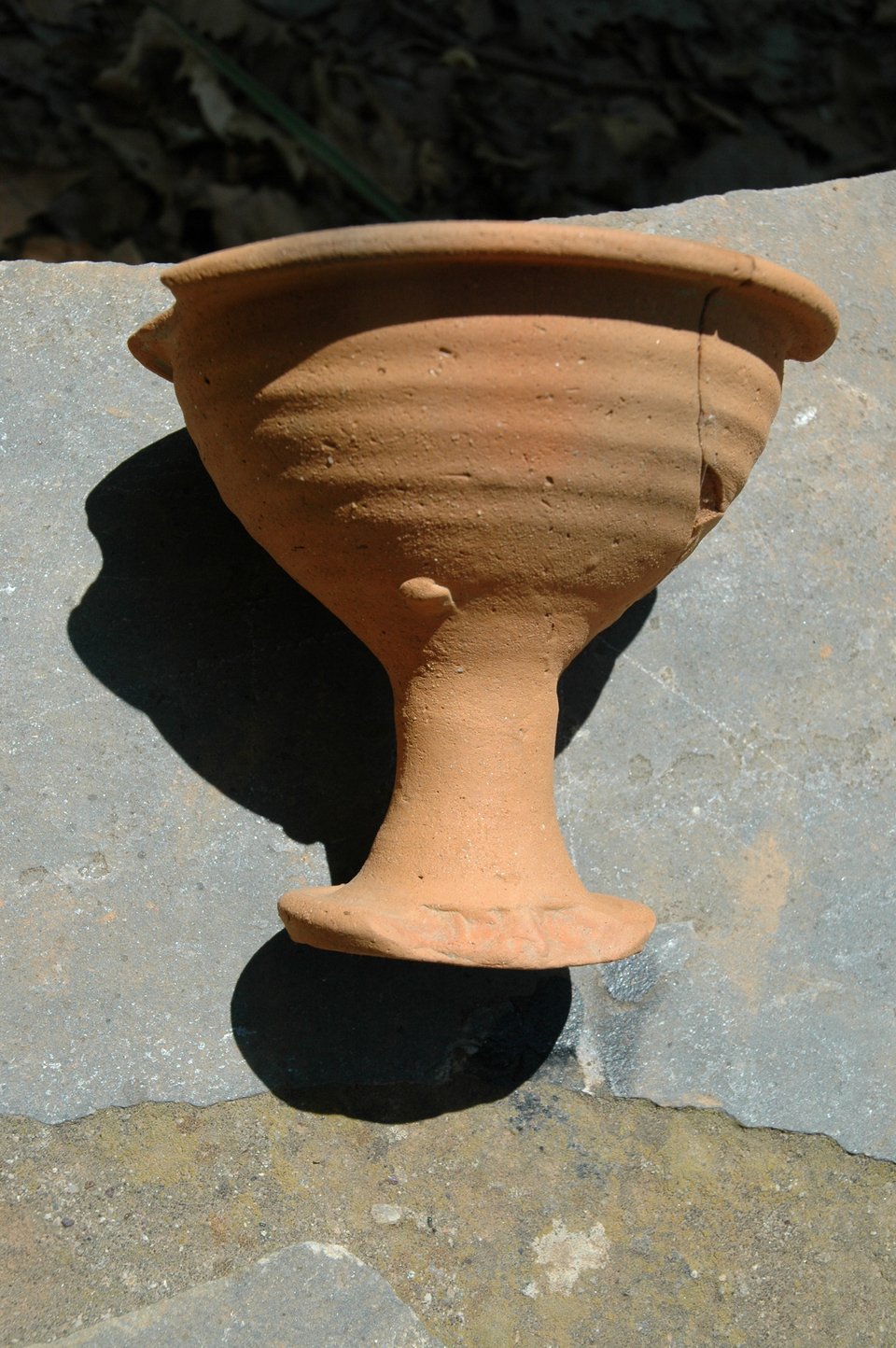 Νέα ευρήματα στην Αγιά [εικόνες] | iefimerida.gr 0