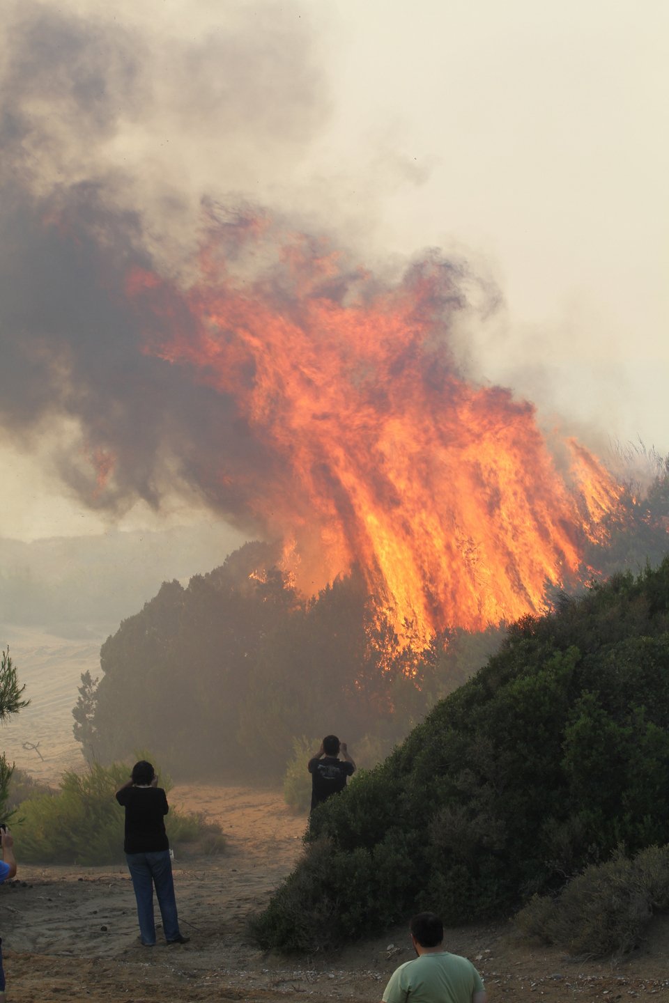 Σε ύφεση η πυρκαγιά στη Στροφυλιά [εικόνες]  | iefimerida.gr 4
