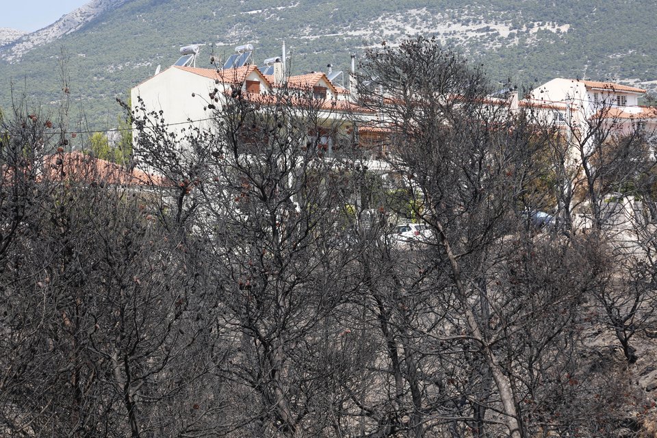 Τι άφησε πίσω της η πύρινη λαίλαπα στην Βαρυμπόμπη [εικόνες] | iefimerida.gr 0