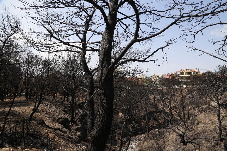 Τι άφησε πίσω της η πύρινη λαίλαπα στην Βαρυμπόμπη [εικόνες] | iefimerida.gr 2