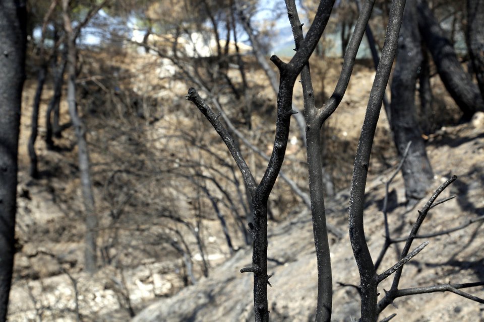 Τι άφησε πίσω της η πύρινη λαίλαπα στην Βαρυμπόμπη [εικόνες] | iefimerida.gr 5
