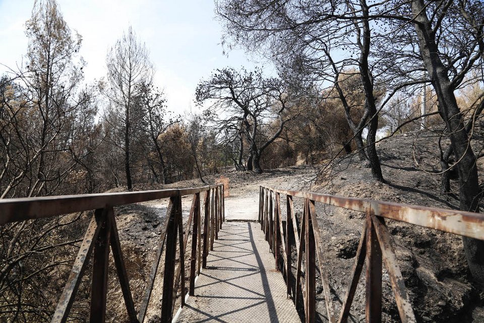 Τι άφησε πίσω της η πύρινη λαίλαπα στην Βαρυμπόμπη [εικόνες] | iefimerida.gr 6