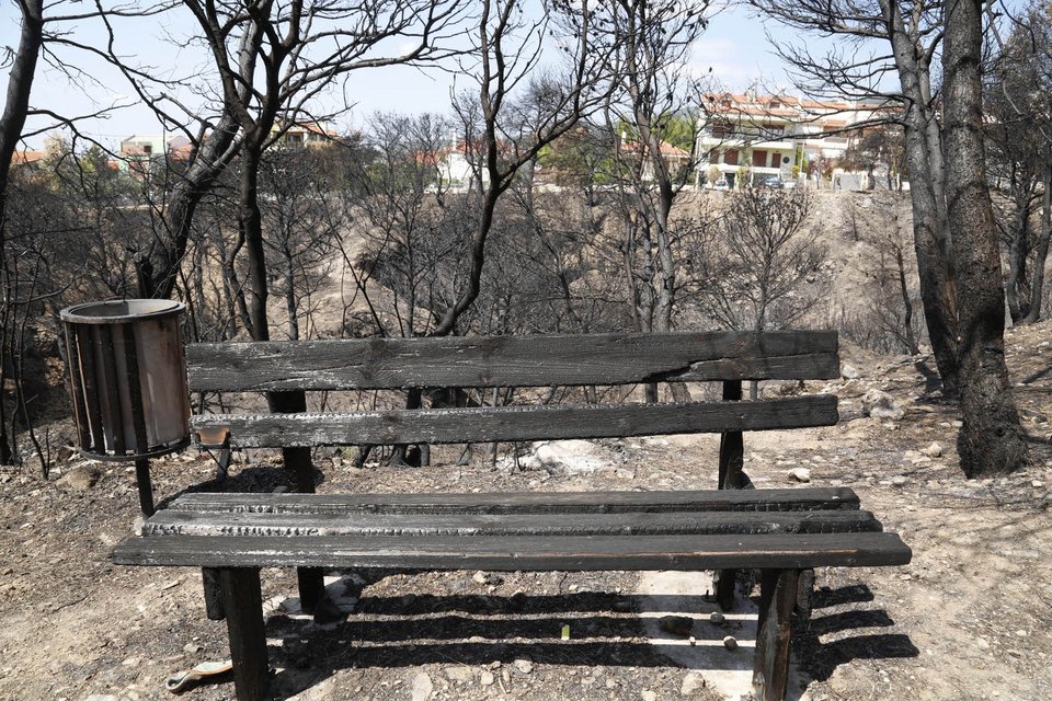 Τι άφησε πίσω της η πύρινη λαίλαπα στην Βαρυμπόμπη [εικόνες] | iefimerida.gr 8