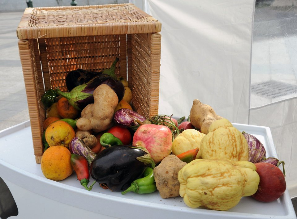 Η «εκδίκηση» του γιγάντιου μπριάμ -Σέρβιραν στο κέντρο της Αθήνας 5.000 μερίδες από «άσχημα» λαχανικά [εικόνες] | iefimerida.gr 2