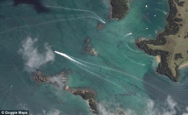 Μυστήριο με πλάσμα 12 μέτρων που έκανε τις... βουτιές του σε κόλπο στη Νέα Ζηλανδία [εικόνες] | iefimerida.gr 3