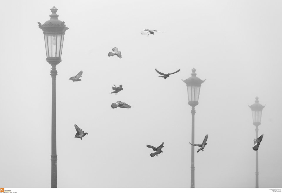 «Αγγελοπουλικό» τοπίο στην ομίχλη η παραλία Θεσσαλονίκης [εντυπωσιακές εικόνες] | iefimerida.gr 3