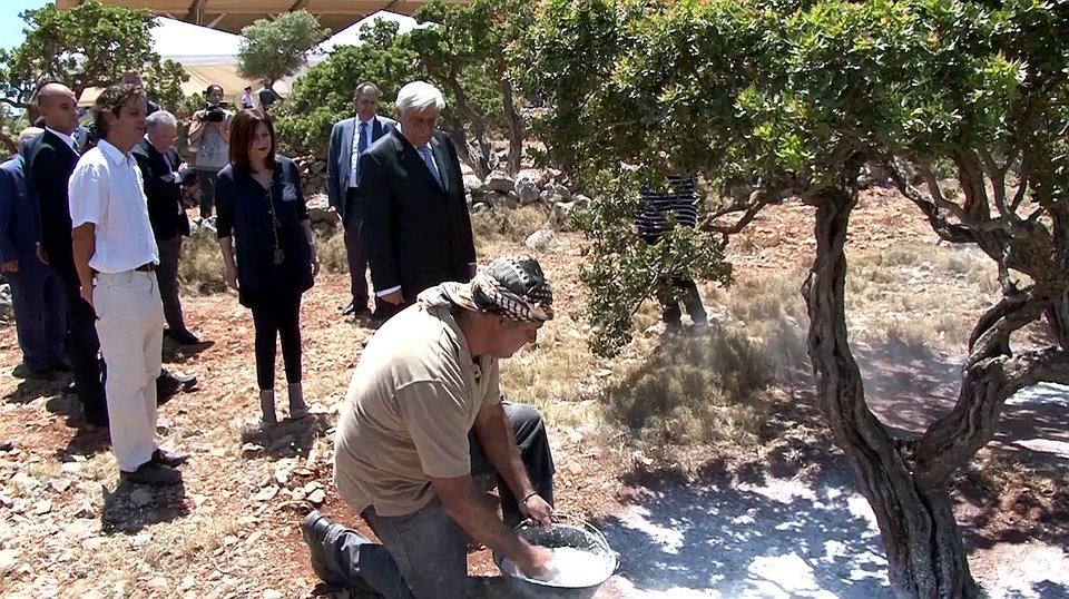 Ο Προκόπης Παυλόπουλος μαζεύει μαστίχα στη Χίο [εικόνες]  | iefimerida.gr 0