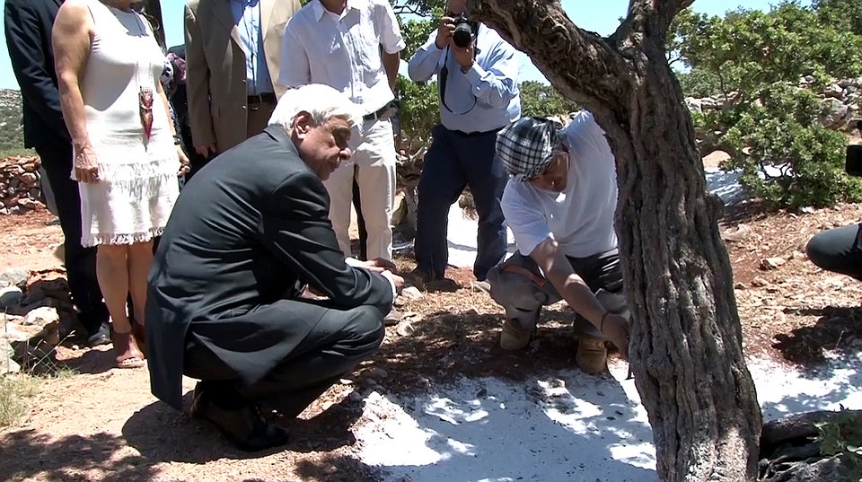 Ο Προκόπης Παυλόπουλος μαζεύει μαστίχα στη Χίο [εικόνες]  | iefimerida.gr 1