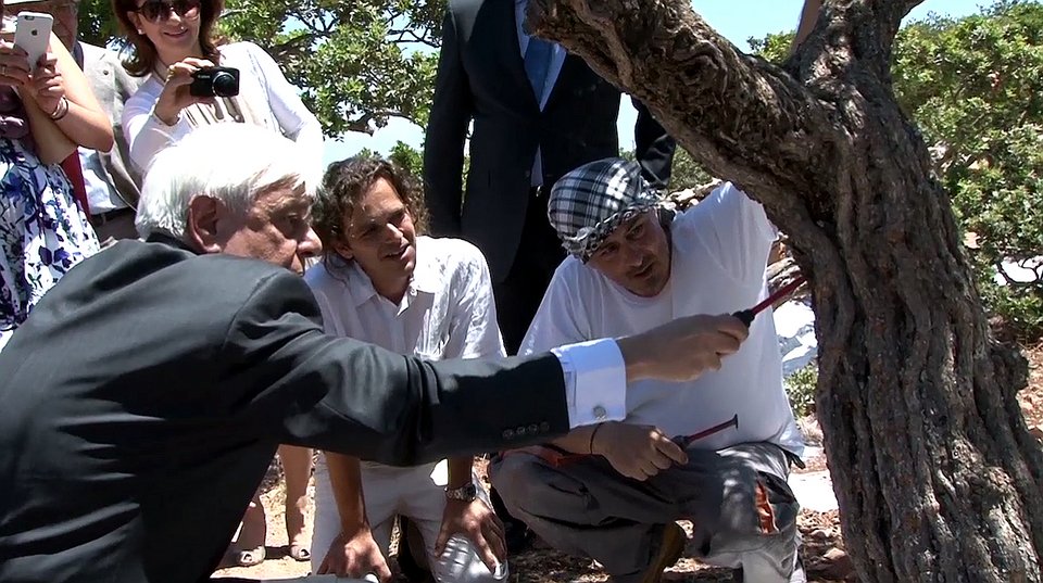 Ο Προκόπης Παυλόπουλος μαζεύει μαστίχα στη Χίο [εικόνες]  | iefimerida.gr 3