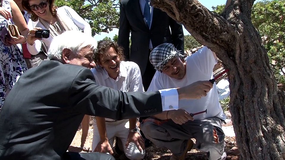 Ο Προκόπης Παυλόπουλος μαζεύει μαστίχα στη Χίο [εικόνες]  | iefimerida.gr 2