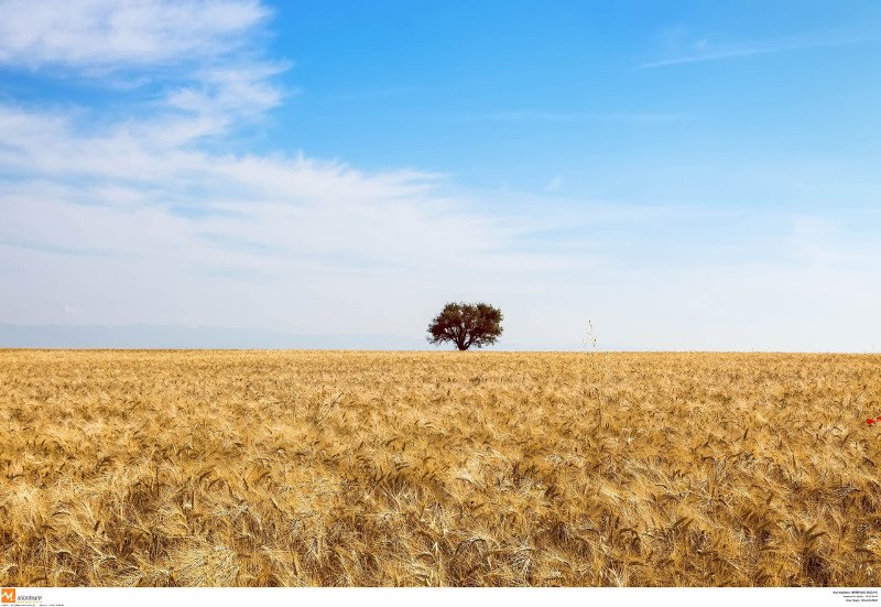 Σε ποιους κλάδους οι εργοδότες είναι αισιόδοξοι για προσλήψεις το επόμενο τρίμηνο | iefimerida.gr 1