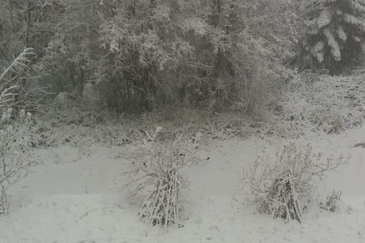 Προβλήματα στην ορεινή Κορινθία από το χιόνι -Πού χρειάζονται αλυσίδες [εικόνες & βίντεο] | iefimerida.gr 2