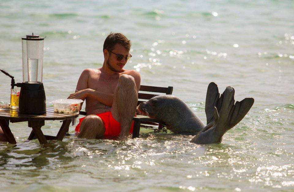 Αρχιπέλαγος: Η «Αργυρώ η Σαμιώτισσα» δεν είναι μασκότ, είναι ένα άγριο ζώο! [εικόνες] | iefimerida.gr 9